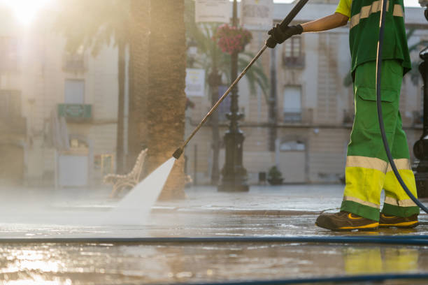 Best Solar Panel Cleaning  in Samsula Spruce Creek, FL